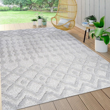 Peralta Moroccan Diamond Indoor/outdoor Area Rug